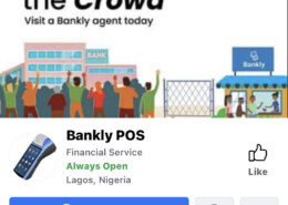 Bankly POS scam
