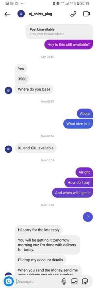 Conversation with the scammer